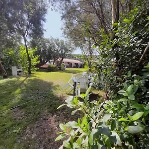 L'ulivo Alloggio per agriturismo Siniscola
